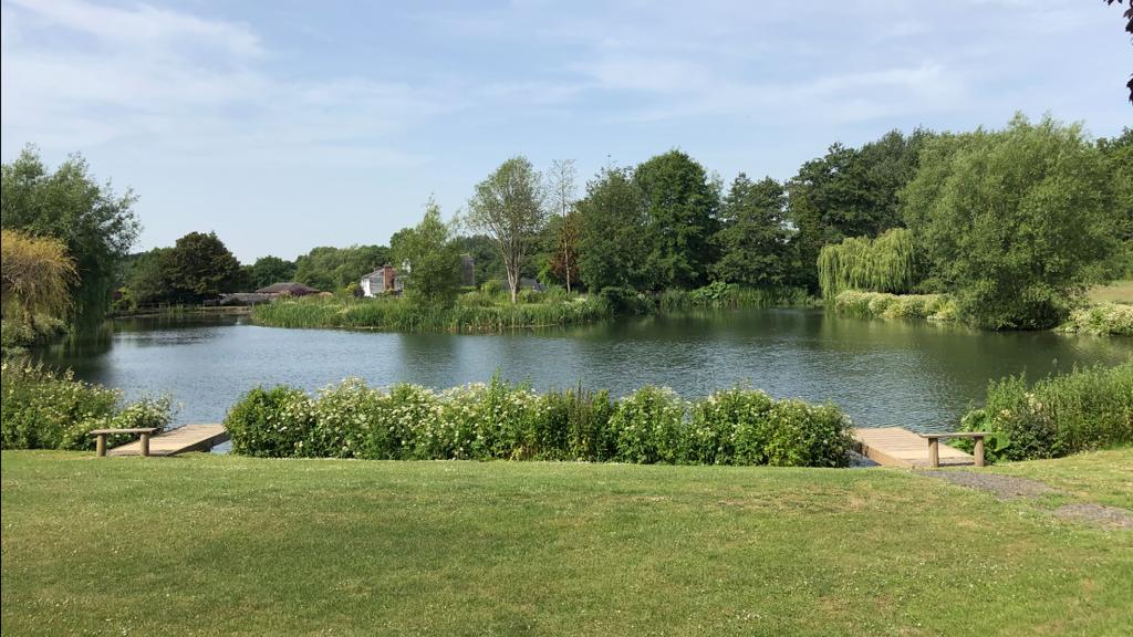 Coltsford Mill Trout Fishery