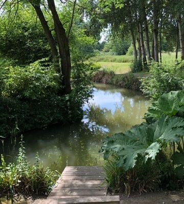 Mill Farm Trout Lakes - Fly Fishing